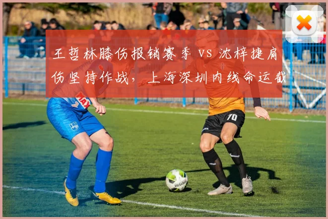 王哲林膝伤报销赛季 vs 沈梓捷肩伤坚持作战，上海深圳内线命运截然不同